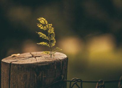 Complicated grief therapy training and research: What to know